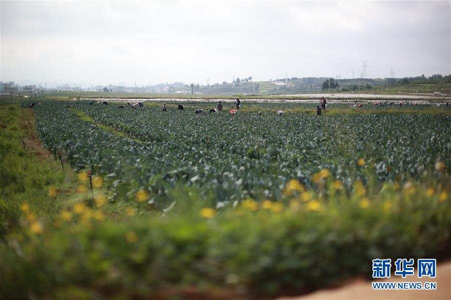 （新華全媒頭條·走向我們的小康生活·決戰(zhàn)決勝脫貧攻堅·圖文互動）（4）千年之渴今朝解——貴州貧困群眾實(shí)現(xiàn)“吃水不愁”