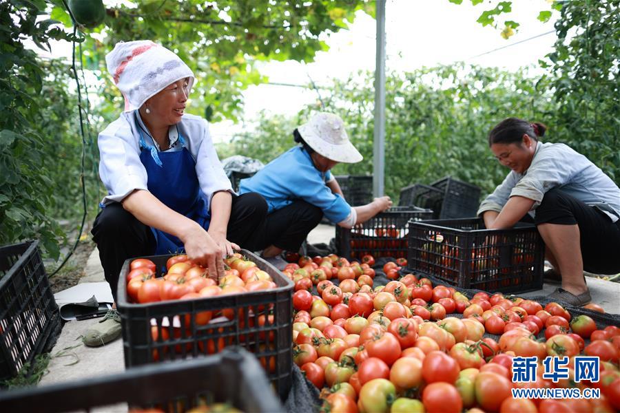 （新華全媒頭條·走向我們的小康生活·決戰(zhàn)決勝脫貧攻堅·圖文互動）（8）千年之渴今朝解——貴州貧困群眾實(shí)現(xiàn)“吃水不愁”