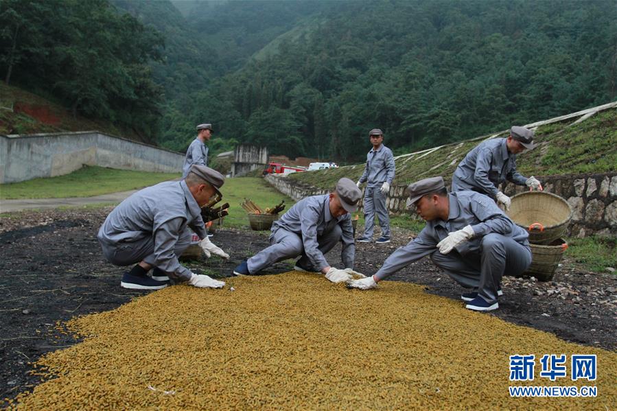 （在習(xí)近平強軍思想指引下·我們在戰(zhàn)位報告·圖文互動）（3）牢記統(tǒng)帥囑托  做刀尖上的舞者——記聯(lián)勤保障部隊某報廢武器彈藥銷毀站參謀長陳雪禮