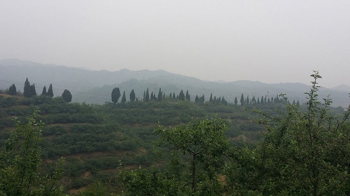 李保國(guó)教授幫扶基地崗底村的蘋果園