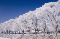 全國(guó)初雪時(shí)間表出爐 看看你離初雪還有多遠(yuǎn)？