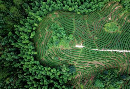 福建龍巖：高效用地，提升生態(tài)環(huán)境水平