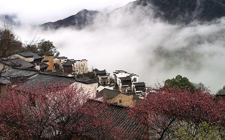 江西：奮力脫貧攻堅(jiān) 生態(tài)追“清”逐“綠”