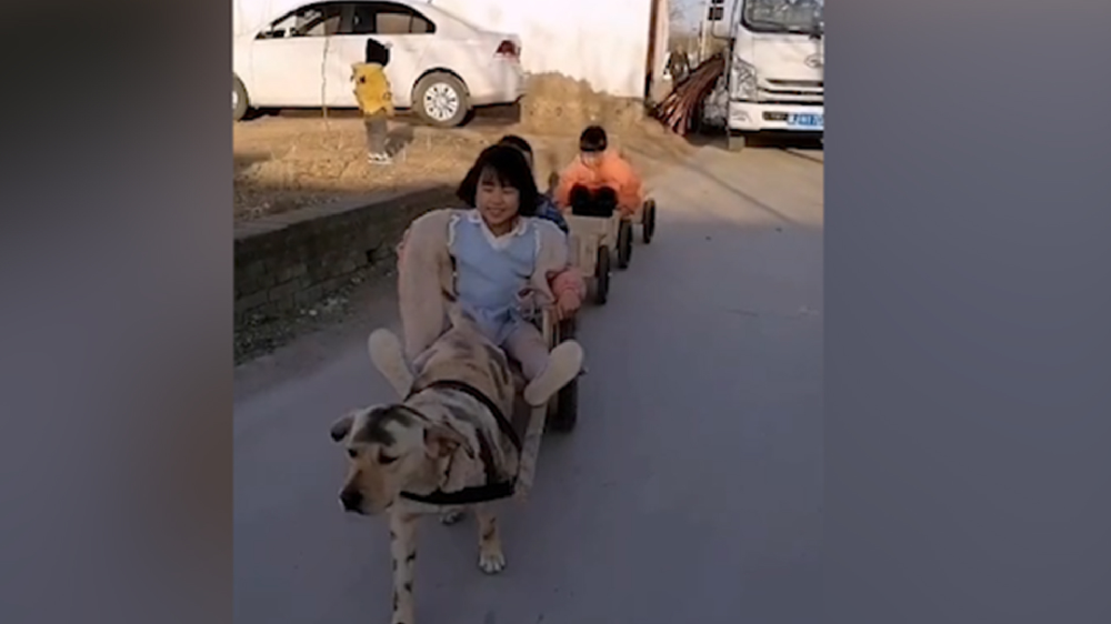 男子給孩子做縮小版小火車，家里的狗狗做動力拉著孩子上學