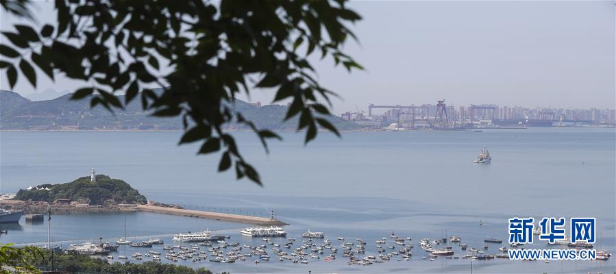 （上合青島峰會）（11）青島：花滿島城待賓朋